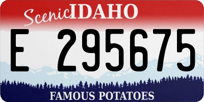 ID license plate E295675