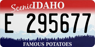 ID license plate E295677