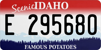 ID license plate E295680