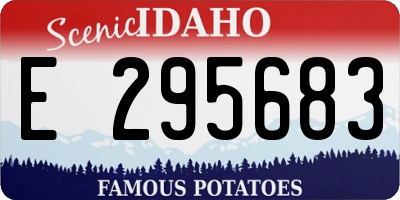 ID license plate E295683