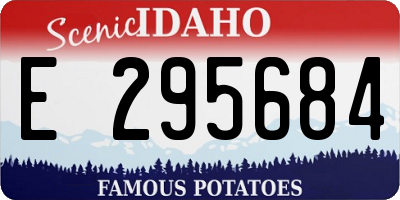 ID license plate E295684