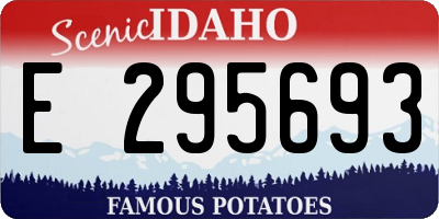 ID license plate E295693