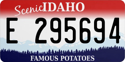 ID license plate E295694