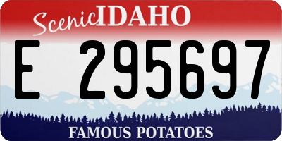 ID license plate E295697