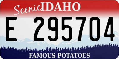 ID license plate E295704