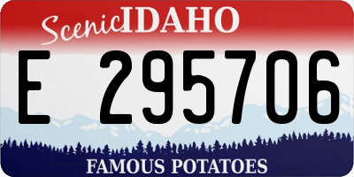 ID license plate E295706