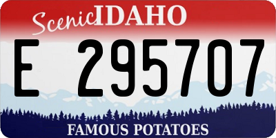 ID license plate E295707