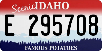 ID license plate E295708