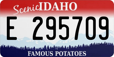 ID license plate E295709