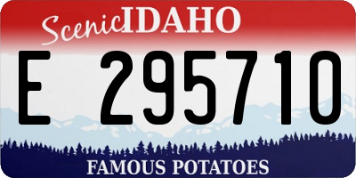 ID license plate E295710