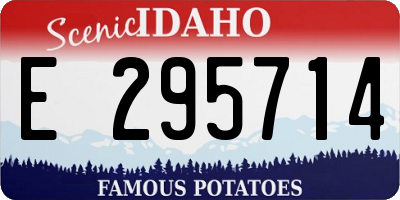 ID license plate E295714
