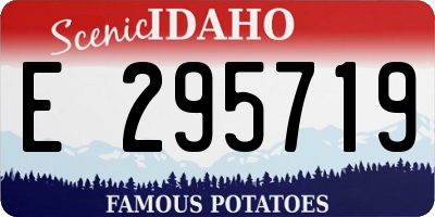 ID license plate E295719