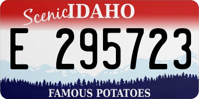 ID license plate E295723
