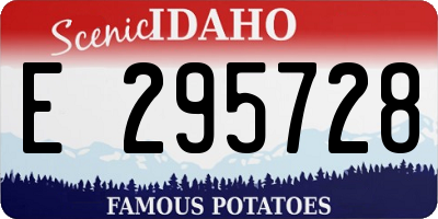 ID license plate E295728