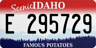 ID license plate E295729