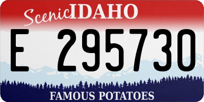 ID license plate E295730