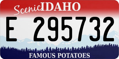 ID license plate E295732
