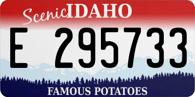 ID license plate E295733