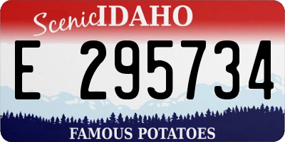 ID license plate E295734