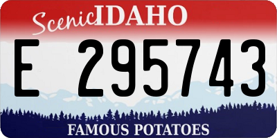 ID license plate E295743