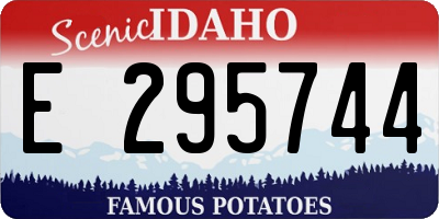 ID license plate E295744