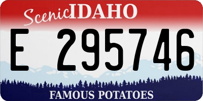 ID license plate E295746