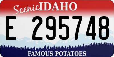 ID license plate E295748
