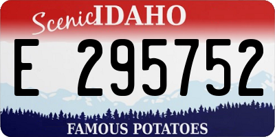 ID license plate E295752