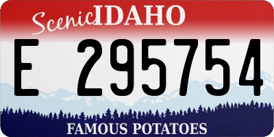 ID license plate E295754