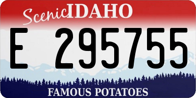 ID license plate E295755