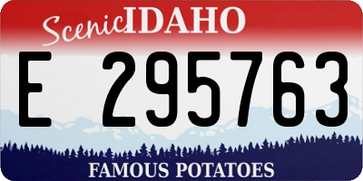 ID license plate E295763