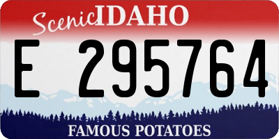 ID license plate E295764
