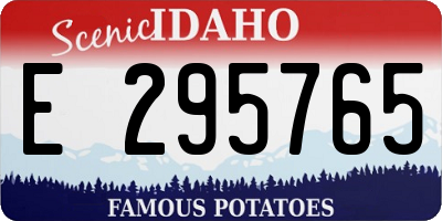 ID license plate E295765