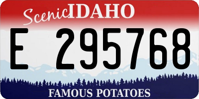 ID license plate E295768