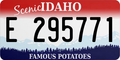 ID license plate E295771