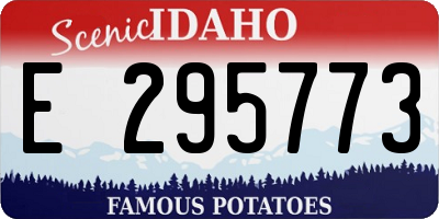 ID license plate E295773