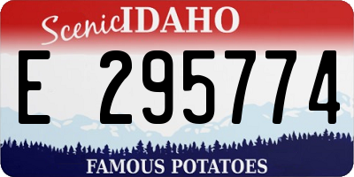 ID license plate E295774