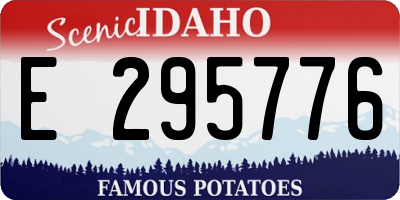 ID license plate E295776