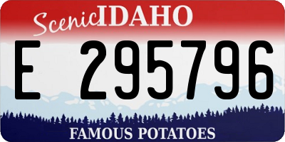 ID license plate E295796