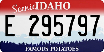 ID license plate E295797