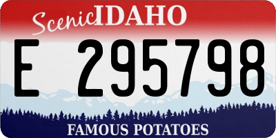 ID license plate E295798