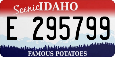 ID license plate E295799