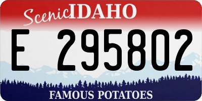 ID license plate E295802