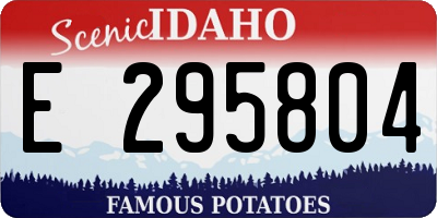 ID license plate E295804