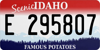 ID license plate E295807