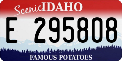 ID license plate E295808