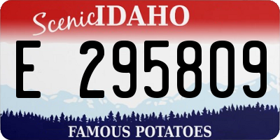 ID license plate E295809