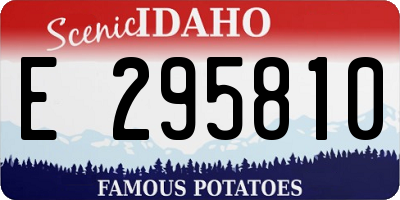 ID license plate E295810