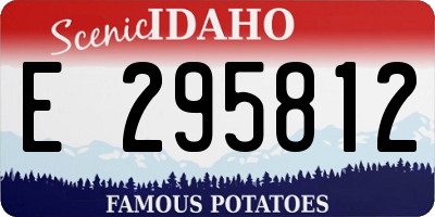 ID license plate E295812