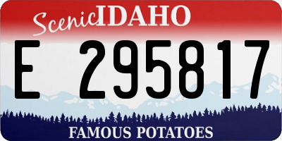 ID license plate E295817